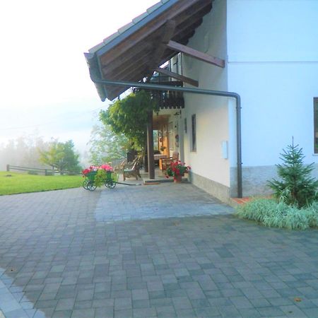Apartma Biofit Блед Стая снимка